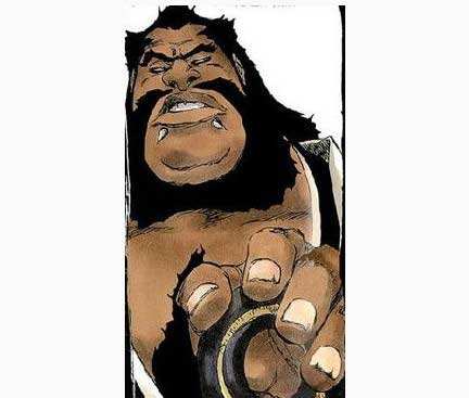 《境界》（死神）百年前護廷十三隊正副隊長資料