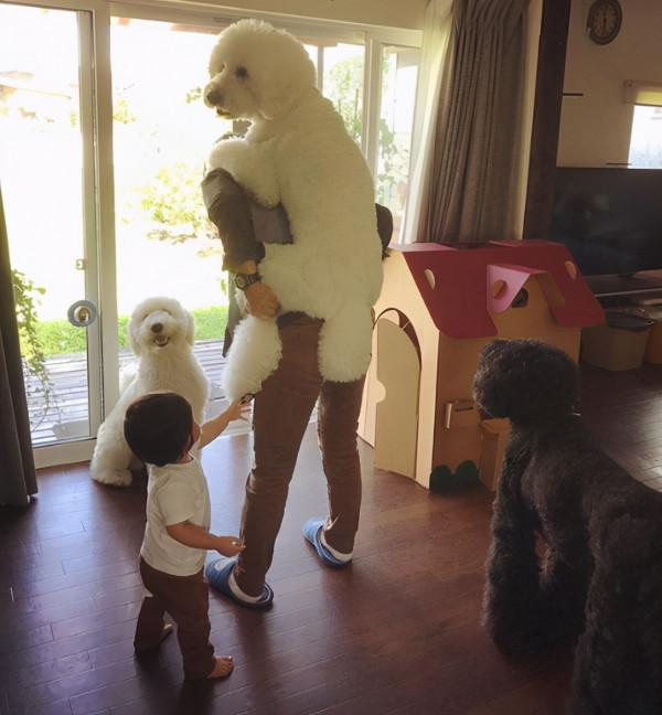 日本奶奶分享小孫女和三隻大狗狗的日常，治癒了56萬+網友…