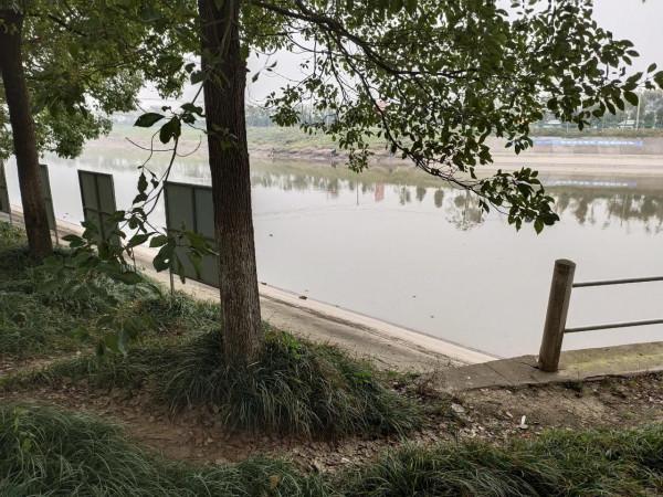 野釣日記（14）