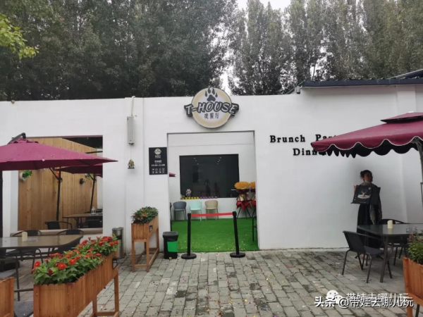 北京新開一家動物園,可以和老虎共進午餐 北京新開一家動物園,可以和老虎共進午餐