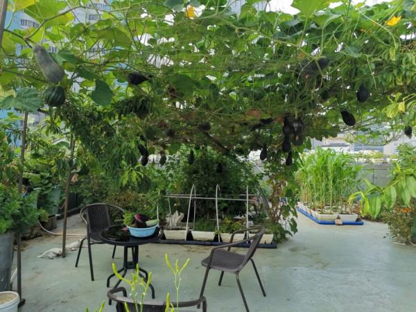 新式移動淺池,讓二培更加方便 新式移動淺池,讓二培更加方便