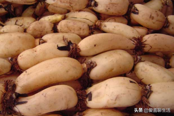 數九寒天別總吃大魚大肉,這6款鹼性食物要常吃,溫暖過冬身體好 數九寒天別總吃大魚大肉,這6款鹼性食物要常吃,溫暖過冬身體好