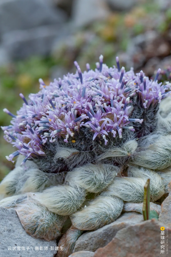 出發!穿越中國最長國道219 出發!穿越中國最長國道219
