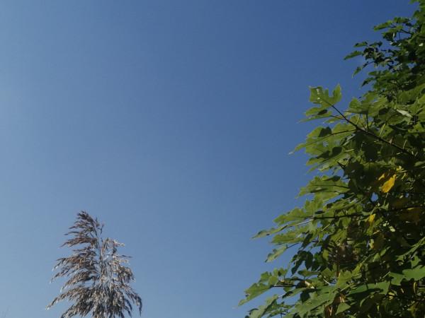 「雙11」寒潮來襲檢驗是否空軍,什麼用蚯蚓也能上草魚? 「雙11」寒潮來襲檢驗是否空軍,什麼用蚯蚓也能上草魚?