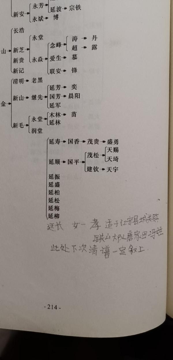 何延振烈士於戰場犧牲!曾騎高頭大馬回家,竟成與親人最後一面 何延振烈士於戰場犧牲!曾騎高頭大馬回家,竟成與親人最後一面