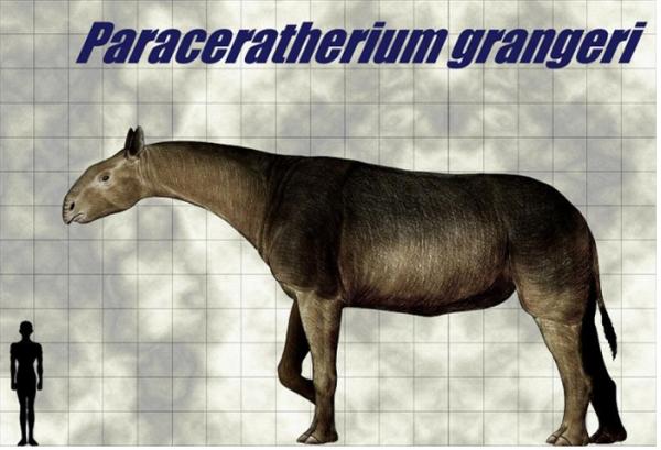 史前巨獸爭霸賽：誰才是陸地最大哺乳動物？