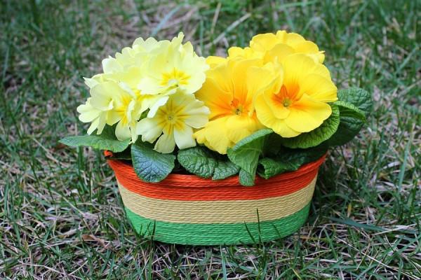 11.15-21十二星座事業運勢，雙子工作推進快，射手不斷累積收穫