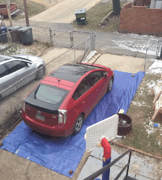 1891歲大樹的年輪，大象推翻汽車，喜鵲騎著白頭鷹，鬣狗飼養員
