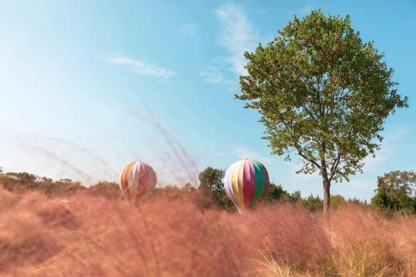 在長三角一體化示範區,尋找秋天的色彩 在長三角一體化示範區,尋找秋天的色彩