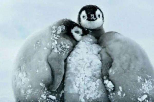 冬天雖冷,因為有你相擁而溫暖 冬天雖冷,因為有你相擁而溫暖