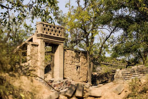山西一古落村，鐵梨花取景基地，現如今雜草叢生