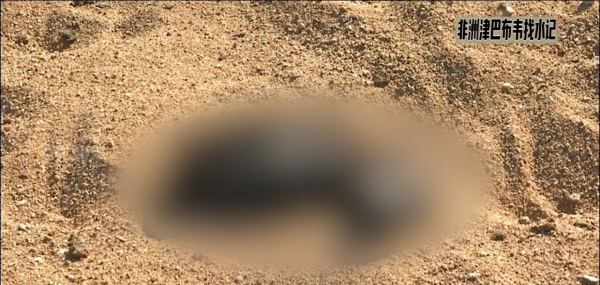 非洲有多缺水？每天步行6小時，凌晨3點就在河溝排隊取水