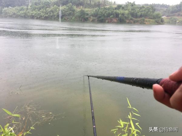 降溫天魚口輕,釣靈好還是釣鈍好?這幾個重點圈起來要考 降溫天魚口輕,釣靈好還是釣鈍好?這幾個重點圈起來要考
