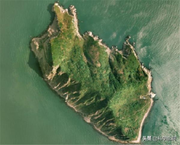 大連蛇島瘋狂“內卷”,一平方公里2萬多條蛇,島上的蛇越來越毒 大連蛇島瘋狂“內卷”,一平方公里2萬多條蛇,島上的蛇越來越毒