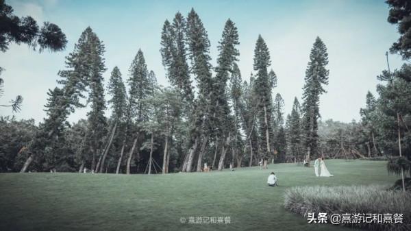 去了八次廈門之後，告訴你這30件事最值得