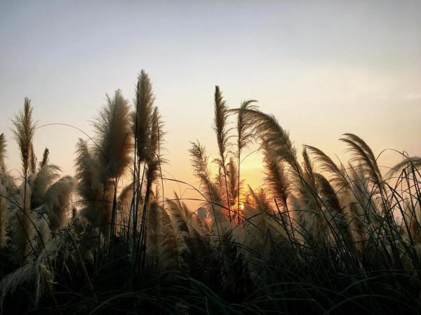 三垟溼地落日夕陽