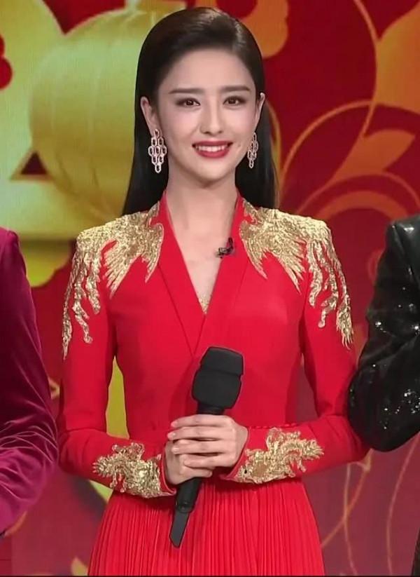 46歲的何晟銘走到今天該怪誰？功在於正，敗於誰呢？