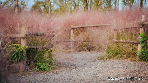 2021年合肥最火的親子游目的地 門票僅20元 遊客紛紛表示：物超所值