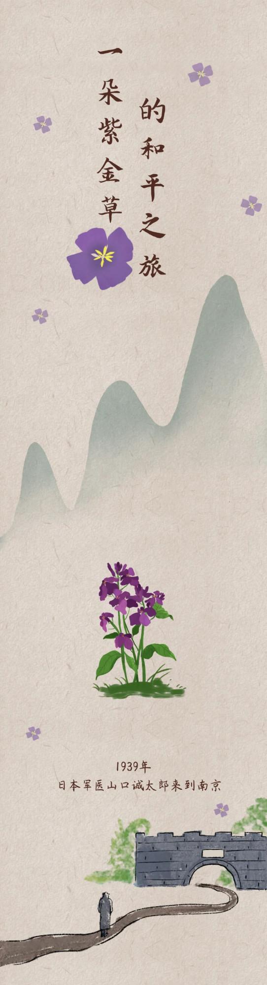 一朵紫金草的和平之旅 一朵紫金草的和平之旅