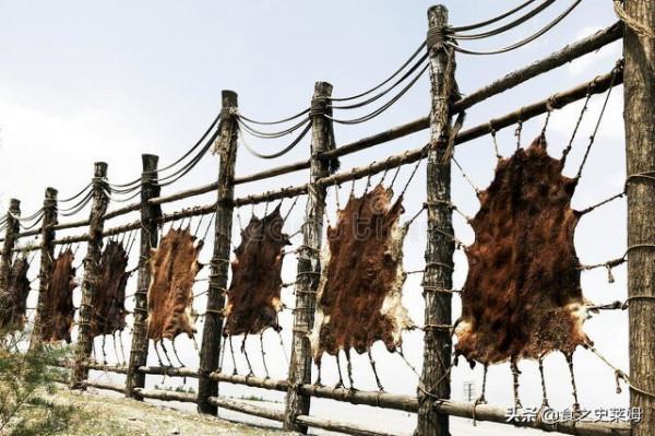 美食荒漠：大航海時期的海盜水手們，其實吃著令人絕望的食物