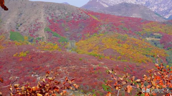 本想獨擁一山紅葉,無意中卻發現汝州大峪火石溝一處山水秘境 本想獨擁一山紅葉,無意中卻發現汝州大峪火石溝一處山水秘境
