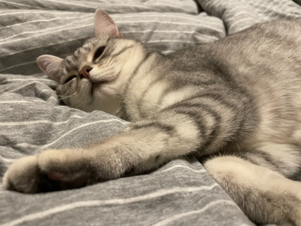 床沒那麼簡單 | 夜讀