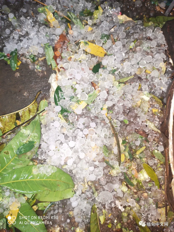 “天氣太反常啦”，極端天氣橫掃緬甸多個省邦