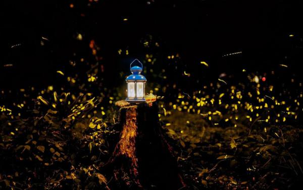 《誤殺2》裡的八句臺詞,光是品讀,就知道它為什麼會成為黑馬了 《誤殺2》裡的八句臺詞,光是品讀,就知道它為什麼會成為黑馬了