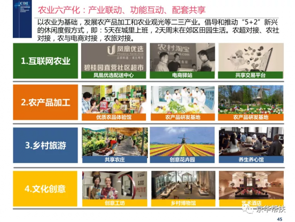 鄉村振興戰略下發展規劃、投融資規劃、城鎮發展策略、經典案例