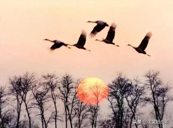 最溫暖的句子 最溫暖的句子