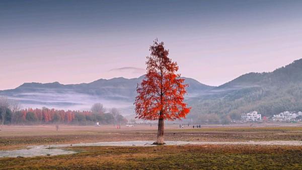 歲月人間促,煙霞此地多。兩首蘊含人生哲理的小詩,您值得品讀 歲月人間促,煙霞此地多。兩首蘊含人生哲理的小詩,您值得品讀