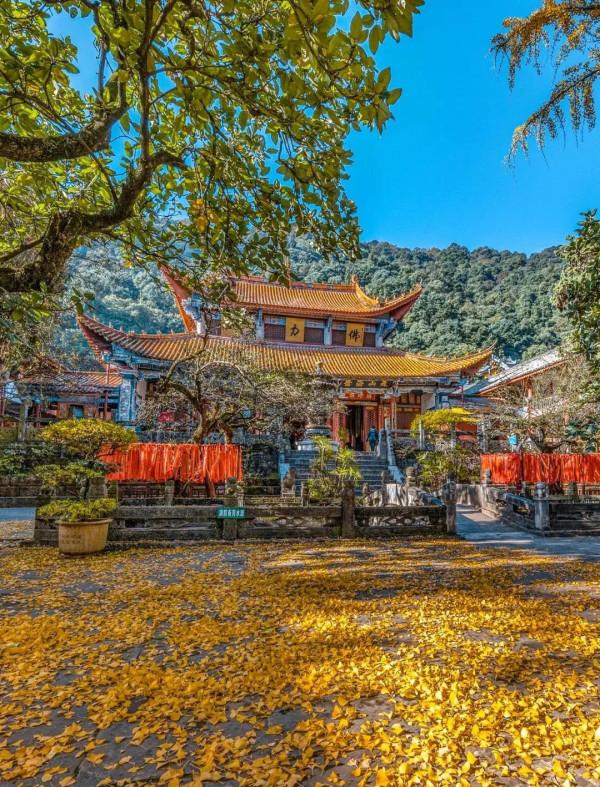 成年人玩得這麼野，小心把命都玩丟了