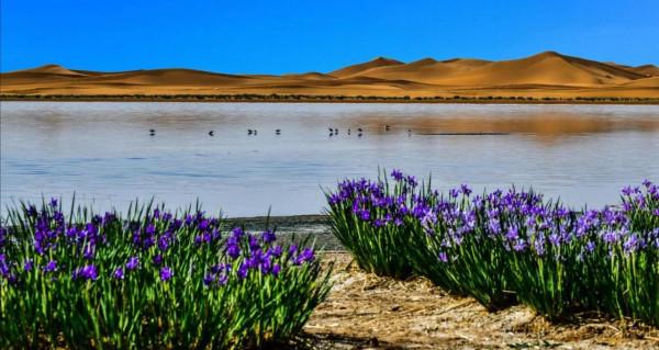 沙漠世界地質公園風光