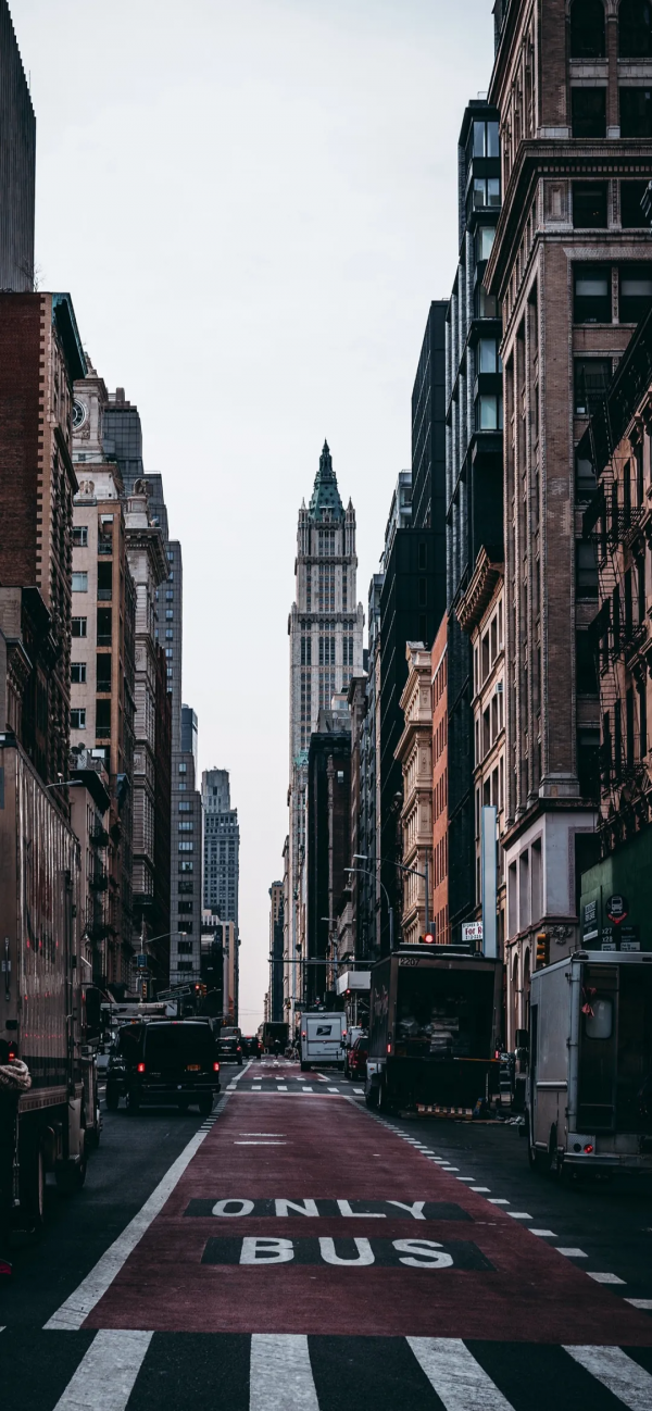 桌布：今天的桌布很好看