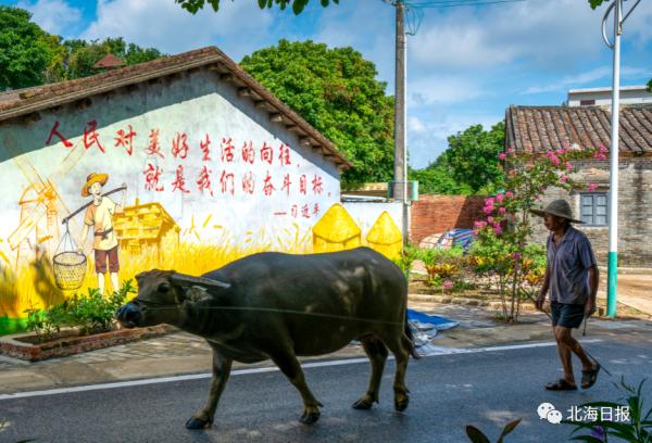 赤西村上榜!30個廣西鄉村振興特色案例亮相 赤西村上榜!30個廣西鄉村振興特色案例亮相