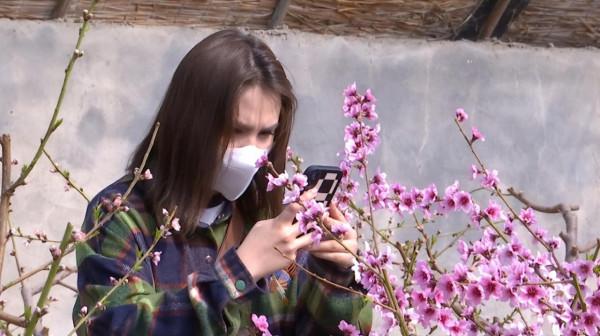 來這裡 與春天撞個滿懷