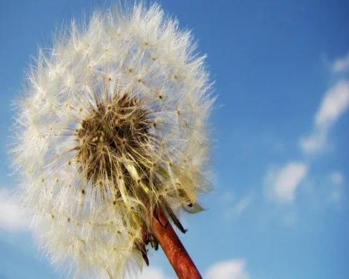 這裡有坑！普及一下租房時可能會遇到的坑