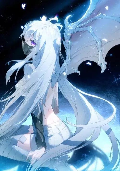 斗羅大陸的秘密