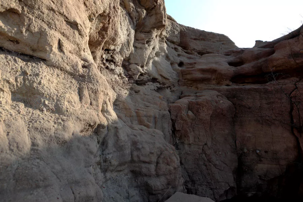 「訪古探幽」探訪紫城砦 「訪古探幽」探訪紫城砦