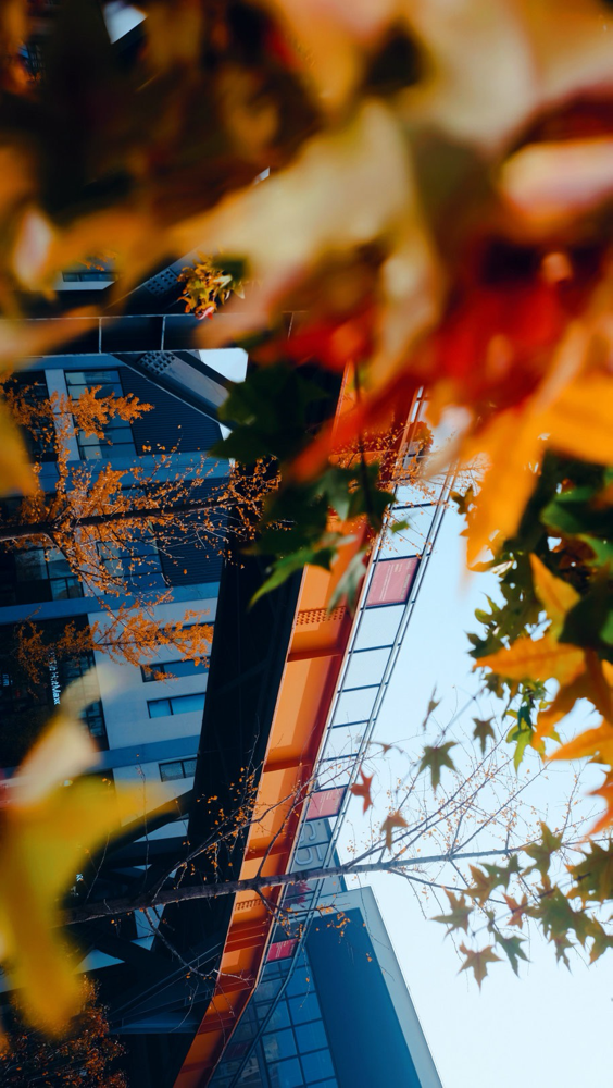 美成一個童話，只想在科學城的秋中多呆一會！