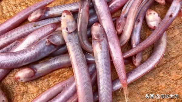 買魚時，內行人專買這9種純海魚，難以人工養殖，看完長知識