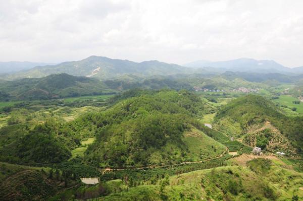 溫鐵軍：農村現在很多年輕人外出打工，未來田地誰來種？