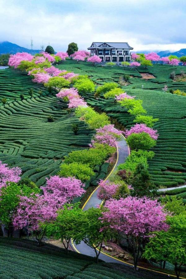 2月份國內最精美的旅行地，有這5個足夠了，景美人少溫度適宜