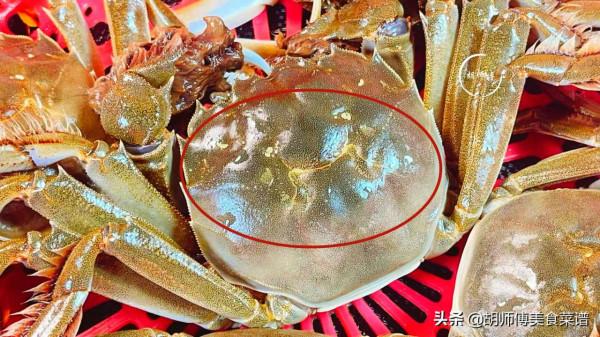 買螃蟹時，挑青殼還是黃殼？老漁民說：區別很大，買錯難吃浪費錢