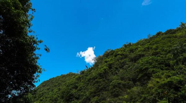 人間四月天，在坪山眼見皆美好