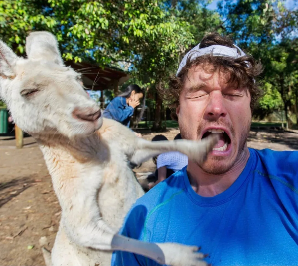 澳洲小哥靠一組照片成為“年度網紅”:絕了,每隻動物都會笑? 澳洲小哥靠一組照片成為“年度網紅”:絕了,每隻動物都會笑?