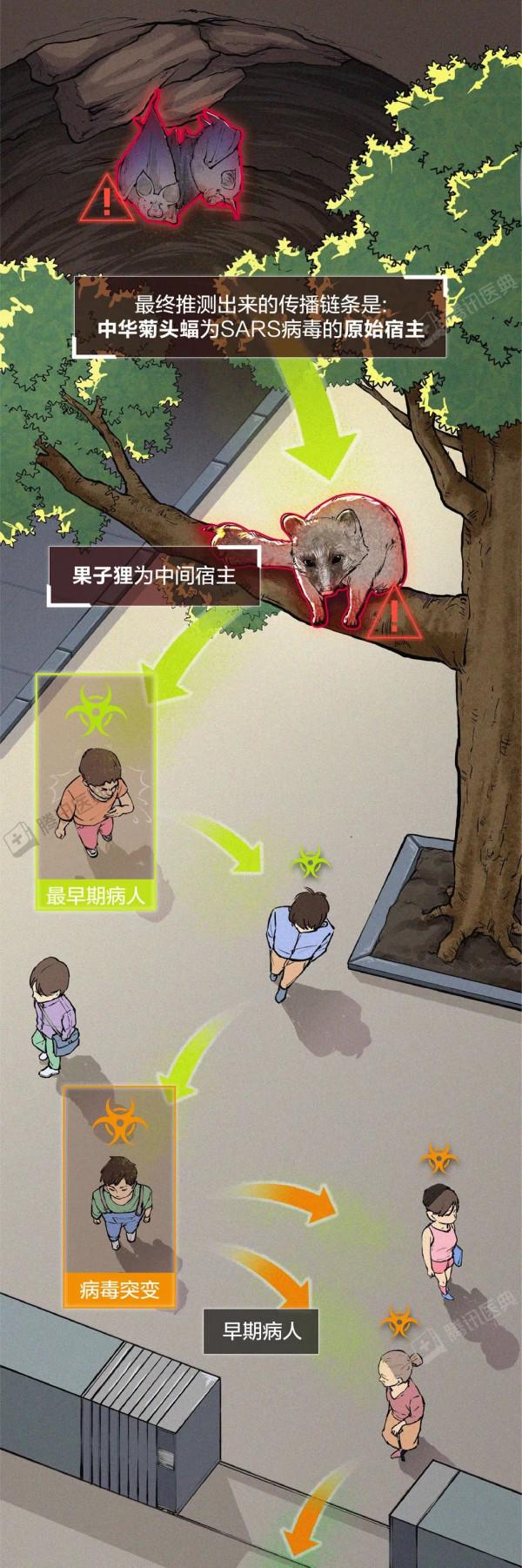 新冠病毒會徹底消失，還是越來越強？這可能是最接近事實的答案