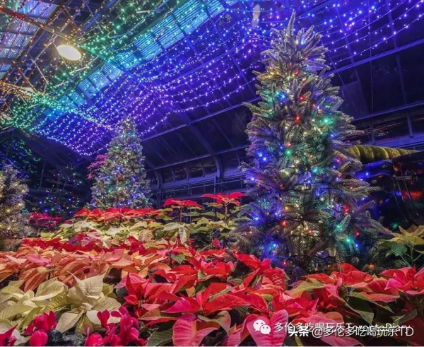 燈展、花展、聖誕集市…7個尼亞加拉瀑布冬季玩法已備好