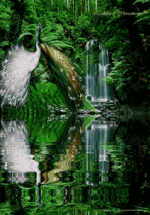 分享 世界之美 人間仙境 美呆啦