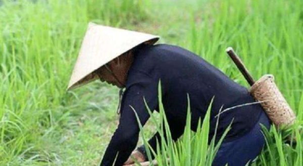 龔清孝：因口渴無意吃了一把草，從此上癮戒不掉，34年吃了40噸草